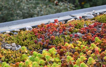 the cost of Goodshaw Fold green roof installation