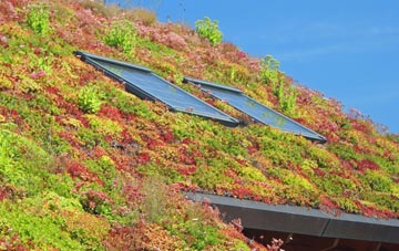 Goodshaw Fold living roof systems